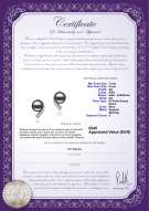 Certificato di prodotto: FW-B-AA-78-E-Claudia