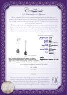 Certificato di prodotto: FW-B-AA-78-E-Reese