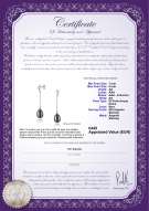 product certificate: FW-B-AA-78-E-Reese