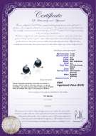  Certificato di prodotto: FW-B-AA-78-E-Selene