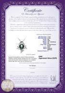 product certificate: FW-B-AA-78-P-Fishbone