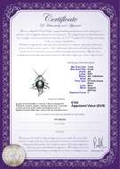 Certificato di prodotto: FW-B-AA-78-P-Fishbone