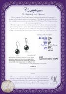 product certificate: FW-B-AA-910-E-Holly