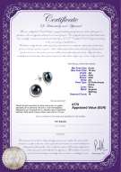  Certificato di prodotto: FW-B-AA-910-E-Kelly