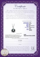 product certificate: FW-B-AA-910-P-Bobbie