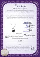 product certificate: FW-B-AA-910-P-Isabella