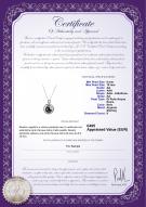 product certificate: FW-B-AA-910-P-Kelly