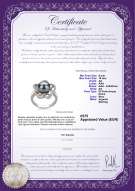 Certificato di prodotto: FW-B-AA-910-R-Fiona