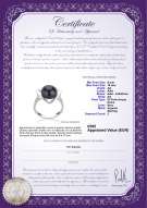  Certificato di prodotto: FW-B-AA-910-R-Katie