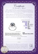 product certificate: FW-B-AA-910-R-Sadie