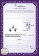  Certificato di prodotto: FW-B-AA-910-S-Isabella