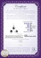 Certificato di prodotto: FW-B-AA-910-S-Kelly