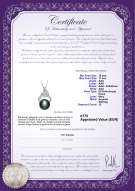 Certificato di prodotto: FW-B-AAA-1011-P-Bebra