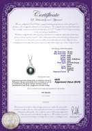 Certificato di prodotto: FW-B-AAA-1011-P-Lori