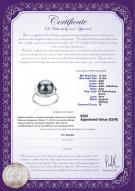 product certificate: FW-B-AAA-1112-R-Wendy