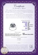  Certificato di prodotto: FW-B-AAA-1112-R-Wendy