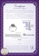 Certificato di prodotto: FW-B-AAA-67-R-Clare