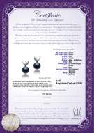 Certificato di prodotto: FW-B-AAA-89-E-Heart