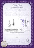 product certificate: FW-B-AAA-89-E-Lilian