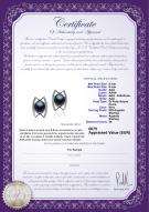 product certificate: FW-B-AAA-89-E-Odelia