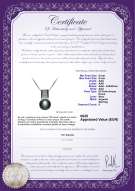  Certificato di prodotto: FW-B-AAA-89-P-Alina