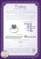  Certificato di prodotto: FW-B-AAA-89-R-Anais