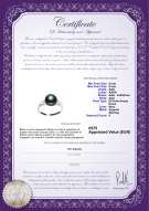 Certificato di prodotto: FW-B-AAA-89-R-Dacey
