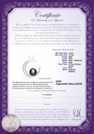 product certificate: FW-B-AAA-910-P-Moon
