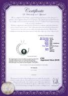 Certificato di prodotto: FW-B-AAA-910-P-Moon