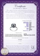  Certificato di prodotto: FW-B-AAAA-1011-R-Oana