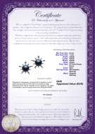 Certificato di prodotto: FW-B-AAAA-67-E-Jamelia