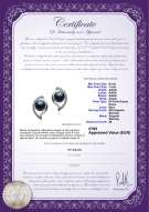 Certificato di prodotto: FW-B-AAAA-67-E-Lilia