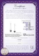 product certificate: FW-B-AAAA-67-E-Misha