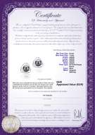 Certificato di prodotto: FW-B-AAAA-67-E-Rowan