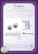 product certificate: FW-B-AAAA-67-E-Sharon