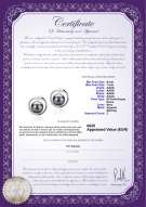 product certificate: FW-B-AAAA-67-E-Sharon