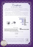 product certificate: FW-B-AAAA-67-E-Winna