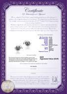  Certificato di prodotto: FW-B-AAAA-67-E-Zorina