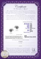 product certificate: FW-B-AAAA-67-E-Zorina