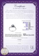 Certificato di prodotto: FW-B-AAAA-67-R-Andrea