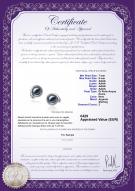 product certificate: FW-B-AAAA-78-E-Angelina