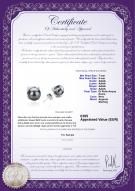 product certificate: FW-B-AAAA-78-E-Britt