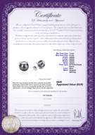 Certificato di prodotto: FW-B-AAAA-78-E-Britt