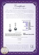  Certificato di prodotto: FW-B-AAAA-78-E-Colleen