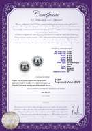  Certificato di prodotto: FW-B-AAAA-78-E-Dreama