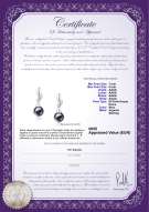 Certificato di prodotto: FW-B-AAAA-78-E-Edith