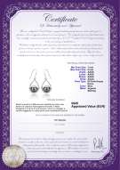  Certificato di prodotto: FW-B-AAAA-78-E-Marcia