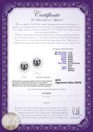 product certificate: FW-B-AAAA-78-E-Morgan