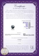 Certificato di prodotto: FW-B-AAAA-78-L1
