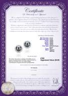 Certificato di prodotto: FW-B-AAAA-89-E-Bessie